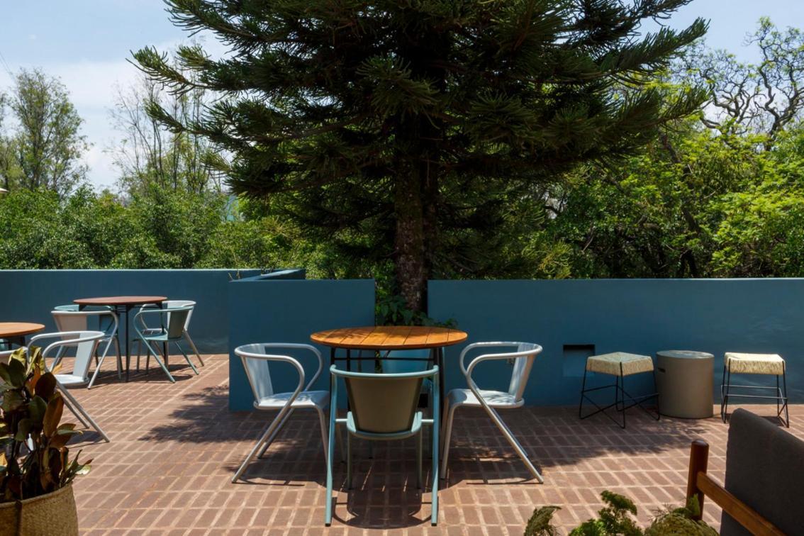 Uma Casa Homestay Mexico City